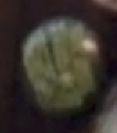 Screenshot 2025-06-20 230235.png