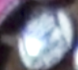 Screenshot 2025-06-20 230447.png