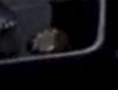 Screenshot 2025-07-26 223215.png