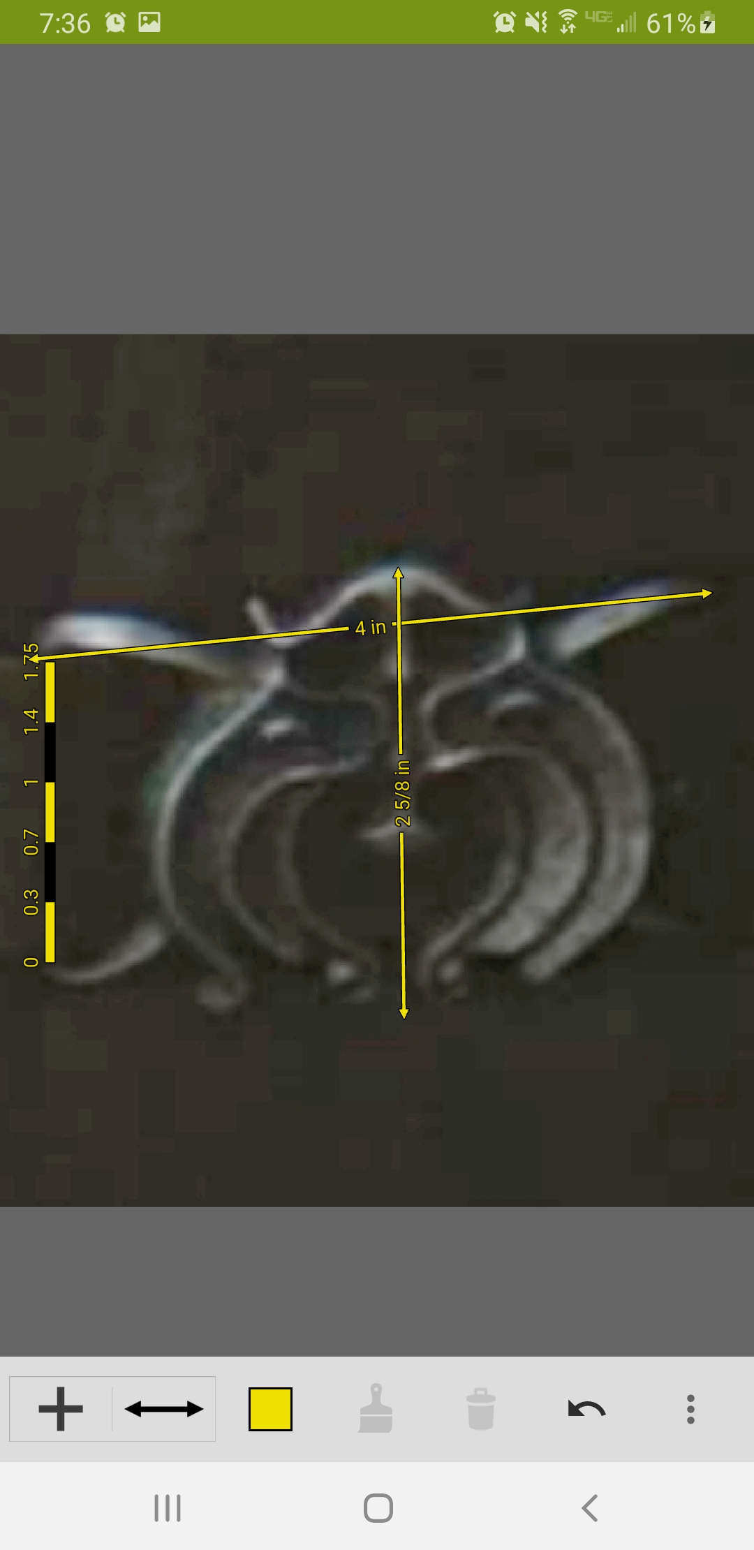 Screenshot_20250113-193643_ImageMeter.jpg