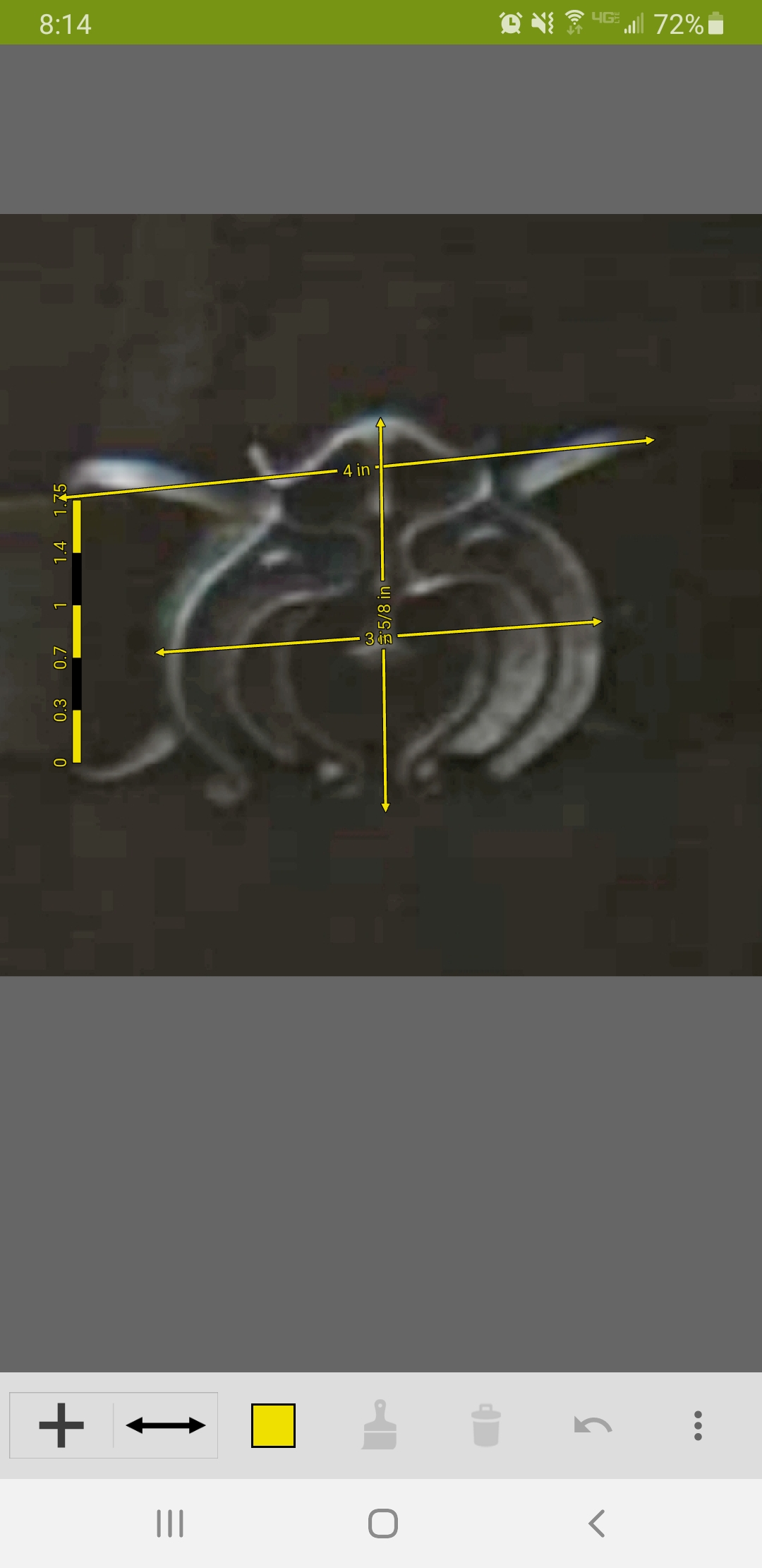 Screenshot_20250120-081431_ImageMeter.jpg