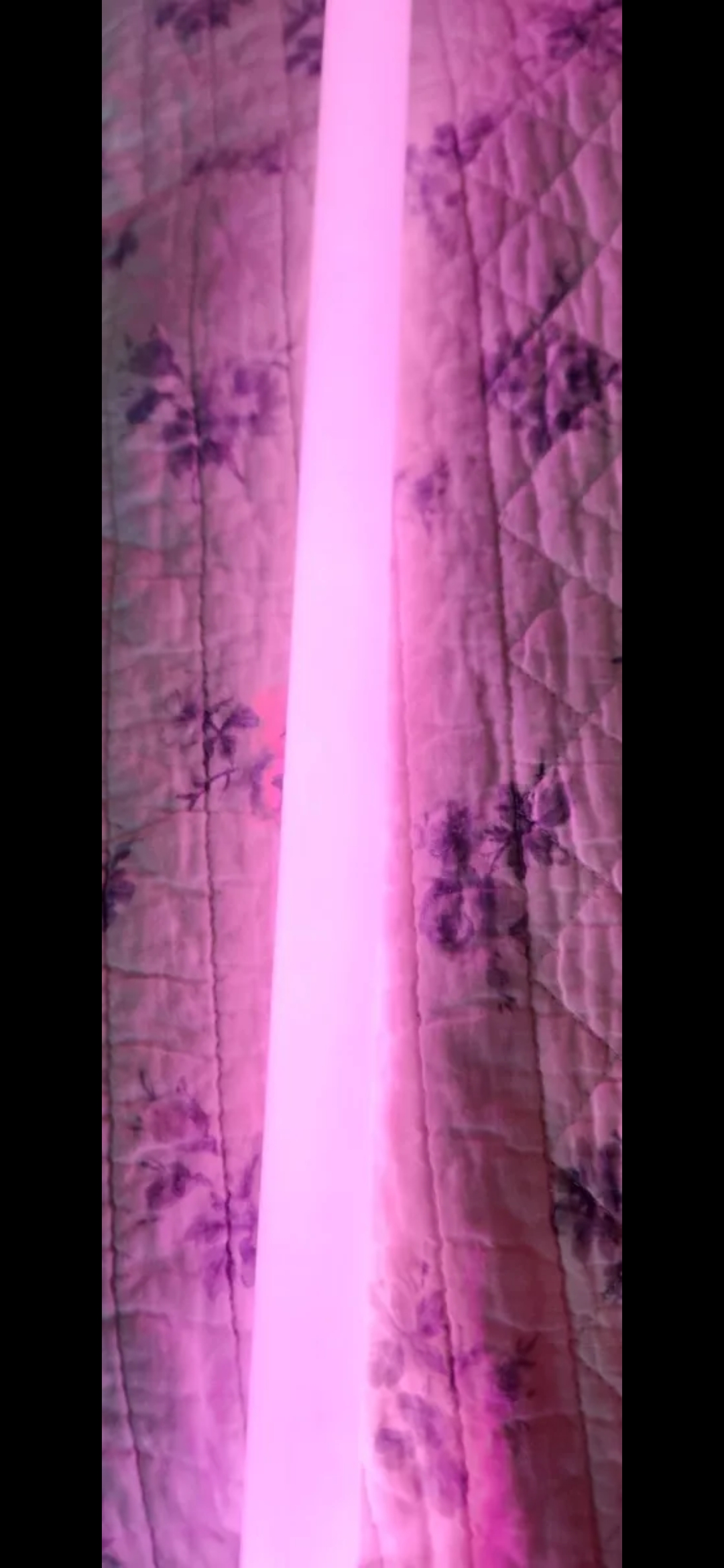 Screenshot_20250204_070603_Gallery.jpg