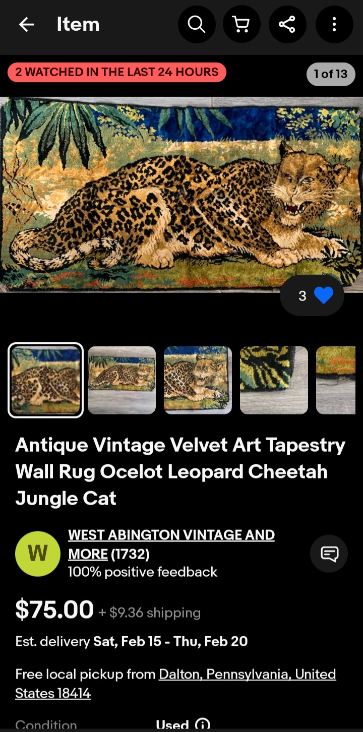 Screenshot_20250212_093827_eBay.jpg