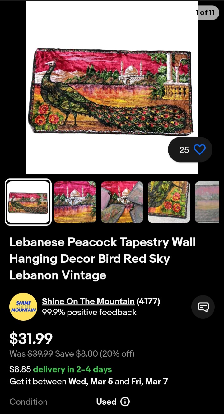Screenshot_20250302_222004_eBay.jpg