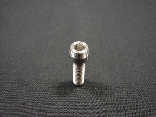 screw_600h_601.jpg