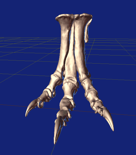 sculpted_foot_by_strick67-dcexojm.gif