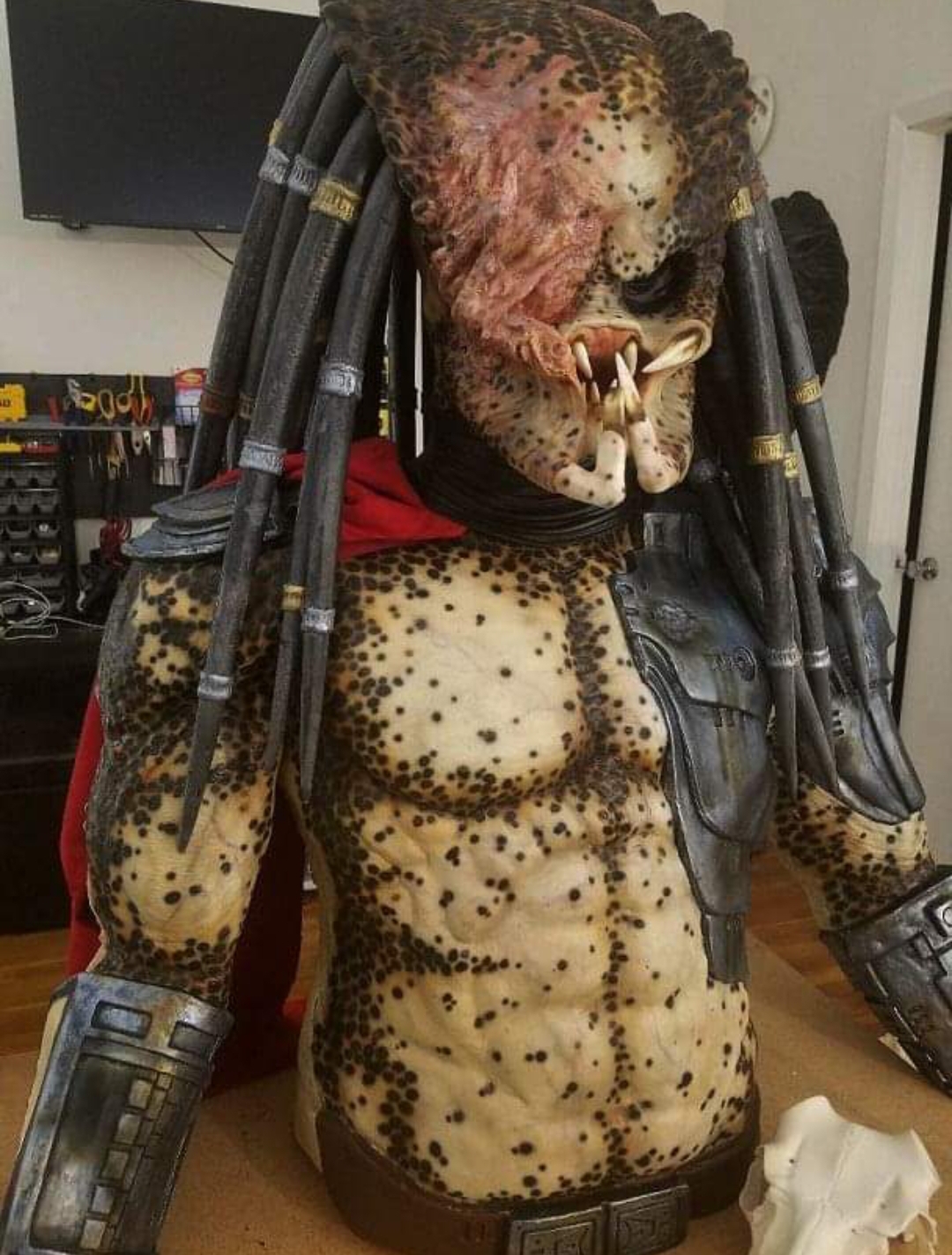 sdcp7h1.jpg
