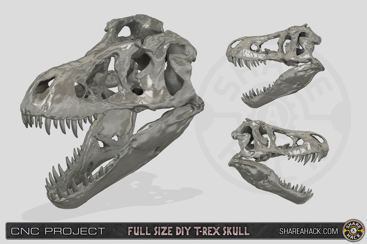 shareahack_diy-trex-skull-cnc-foam_3dmodel_01.jpg