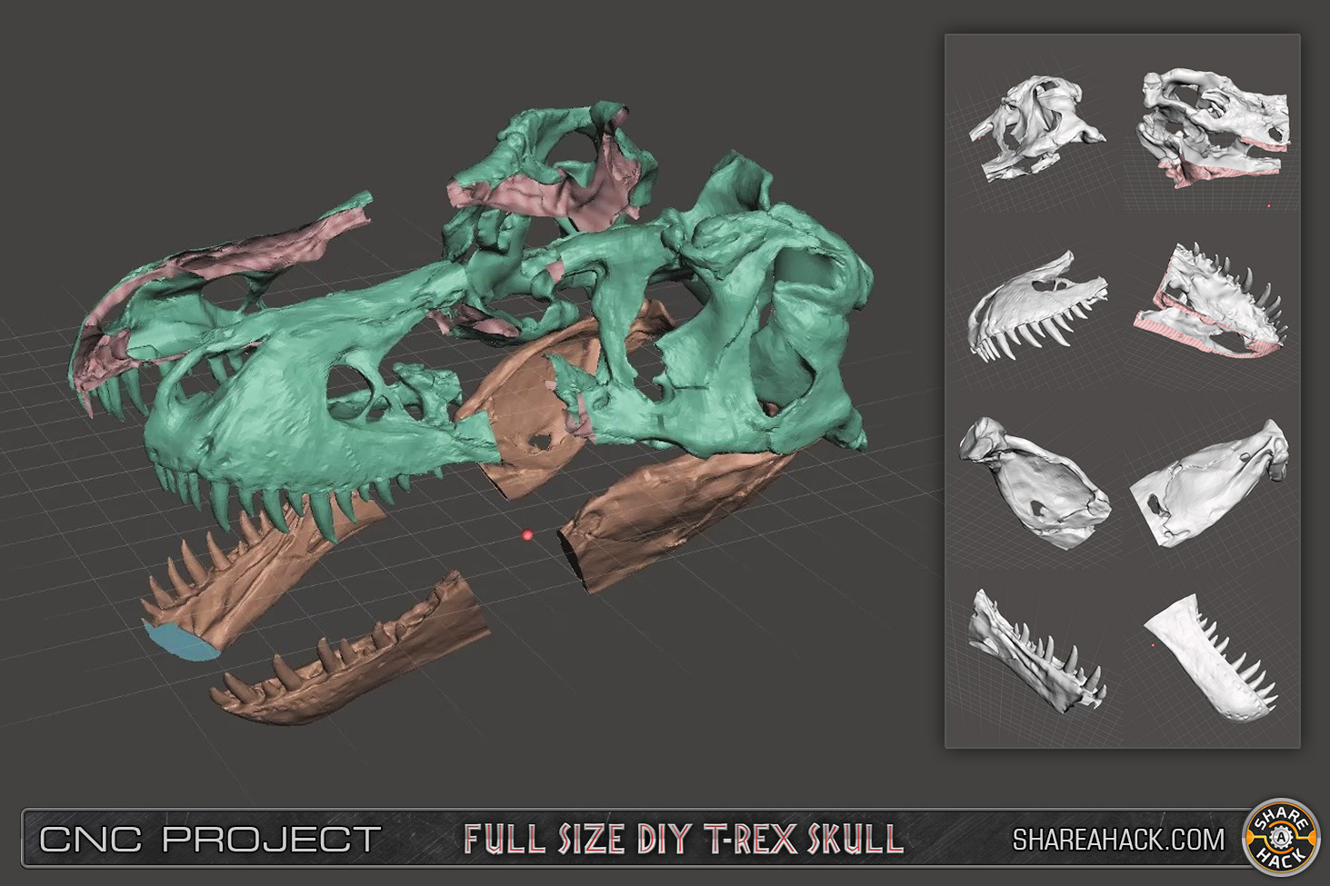 shareahack_diy-trex-skull-cnc-foam_3dmodel_02.jpg