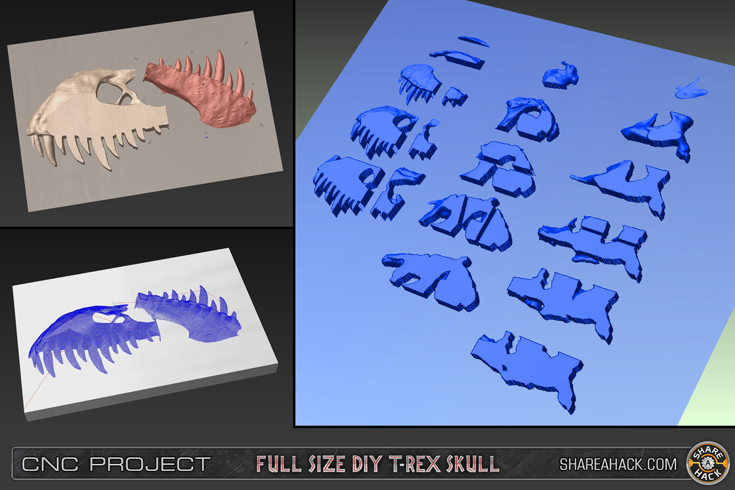 shareahack_diy-trex-skull-cnc-foam_3dmodel_03.jpg