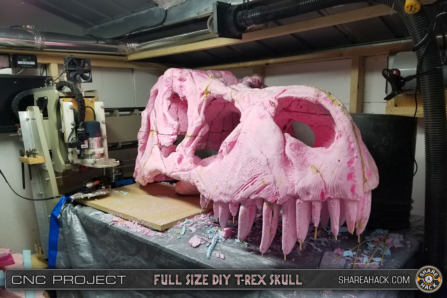 shareahack_diy-trex-skull-cnc-foam_3dmodel_14.jpg
