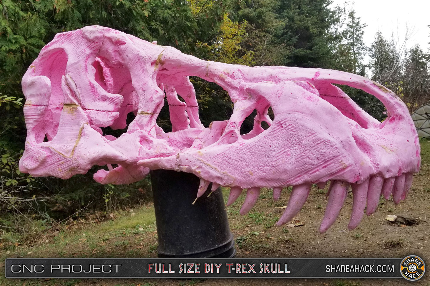 shareahack_diy-trex-skull-cnc-foam_3dmodel_15.jpg