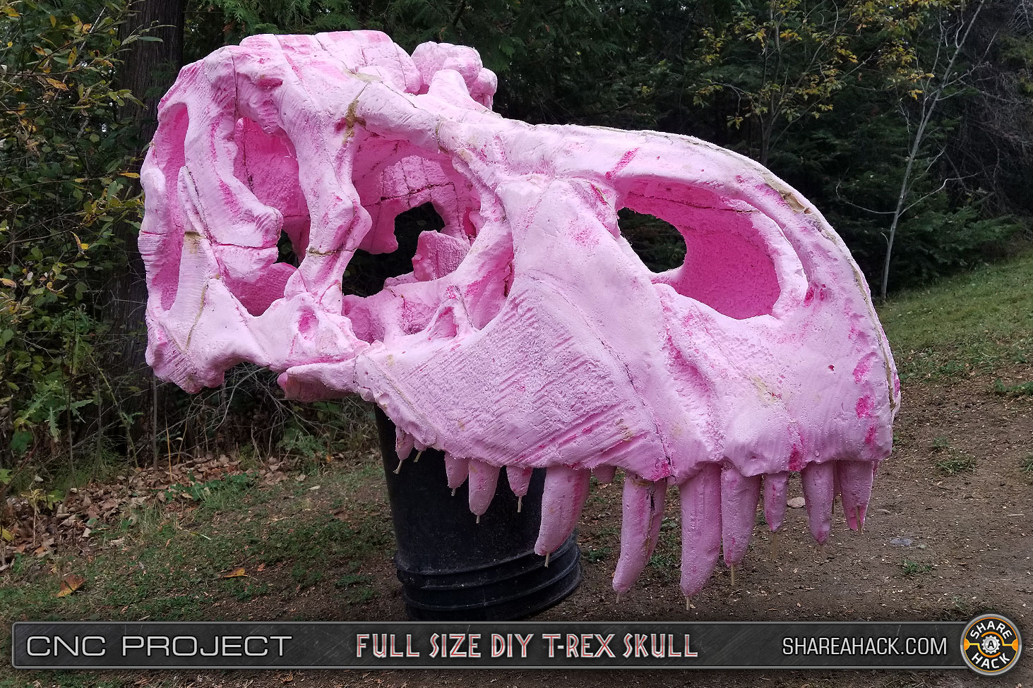 shareahack_diy-trex-skull-cnc-foam_3dmodel_18.jpg