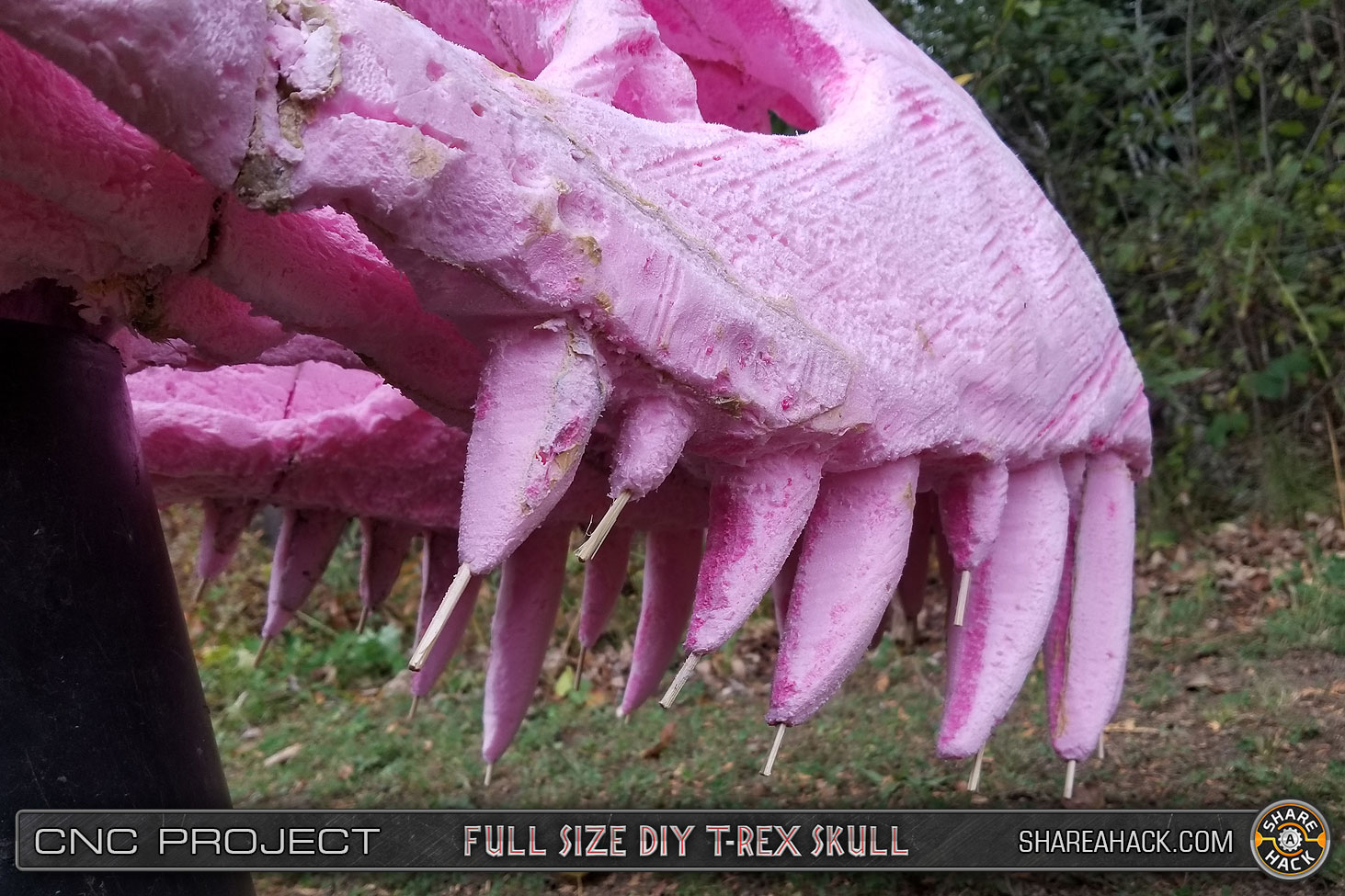 shareahack_diy-trex-skull-cnc-foam_3dmodel_19.jpg