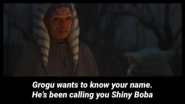 shiny.jpg