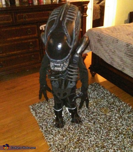 Short Alien.jpg