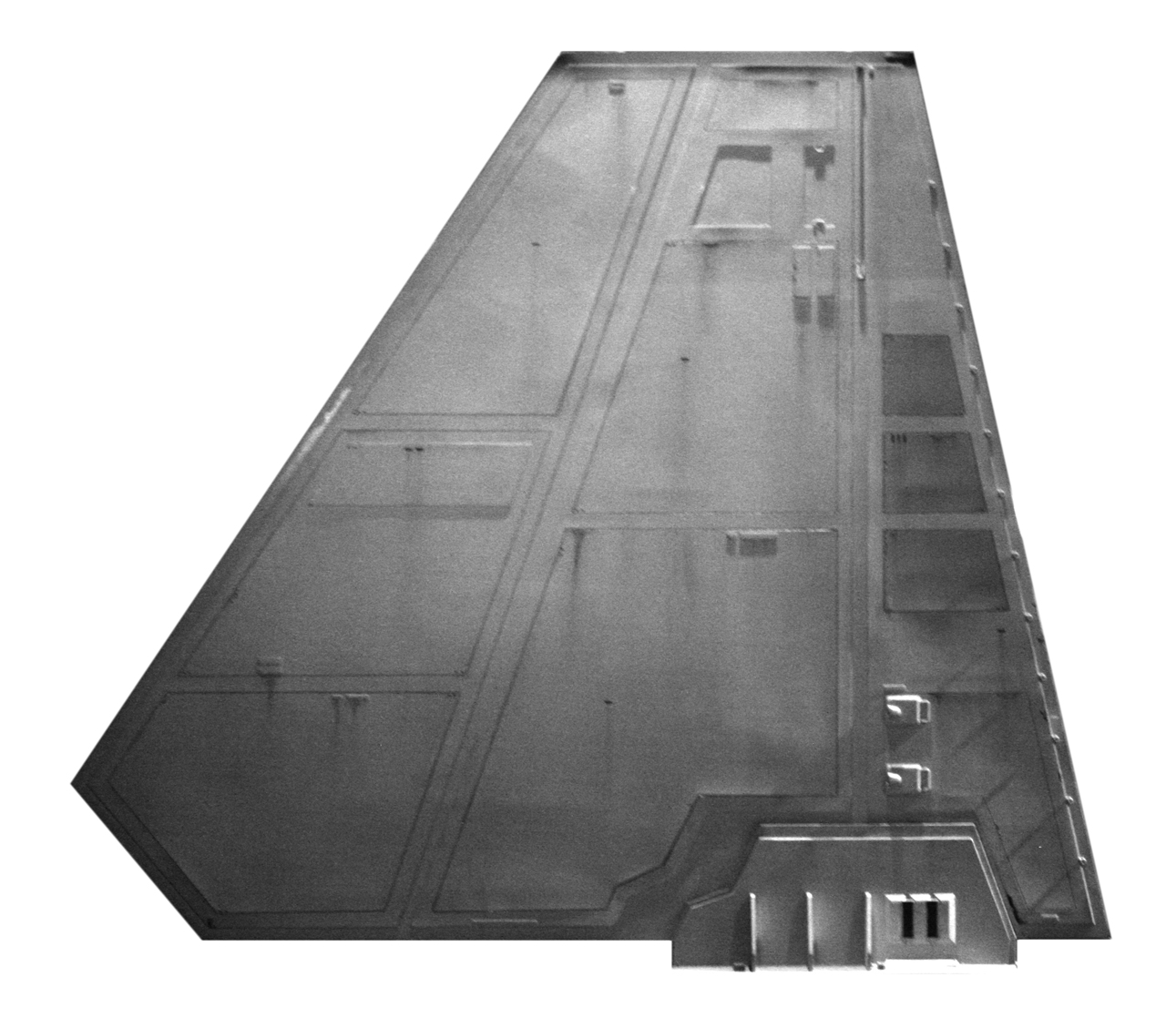 Shuttle Dorsal Wing B-W 150dpi.jpg