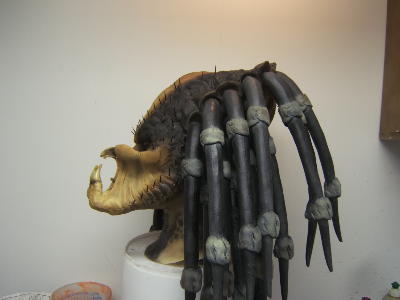 sidedreadsno.jpg