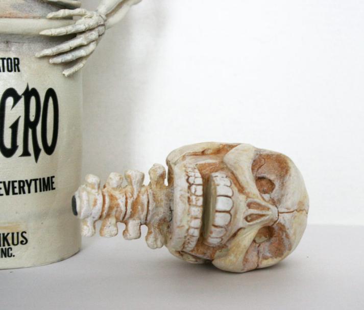 skele6-713x608.jpg