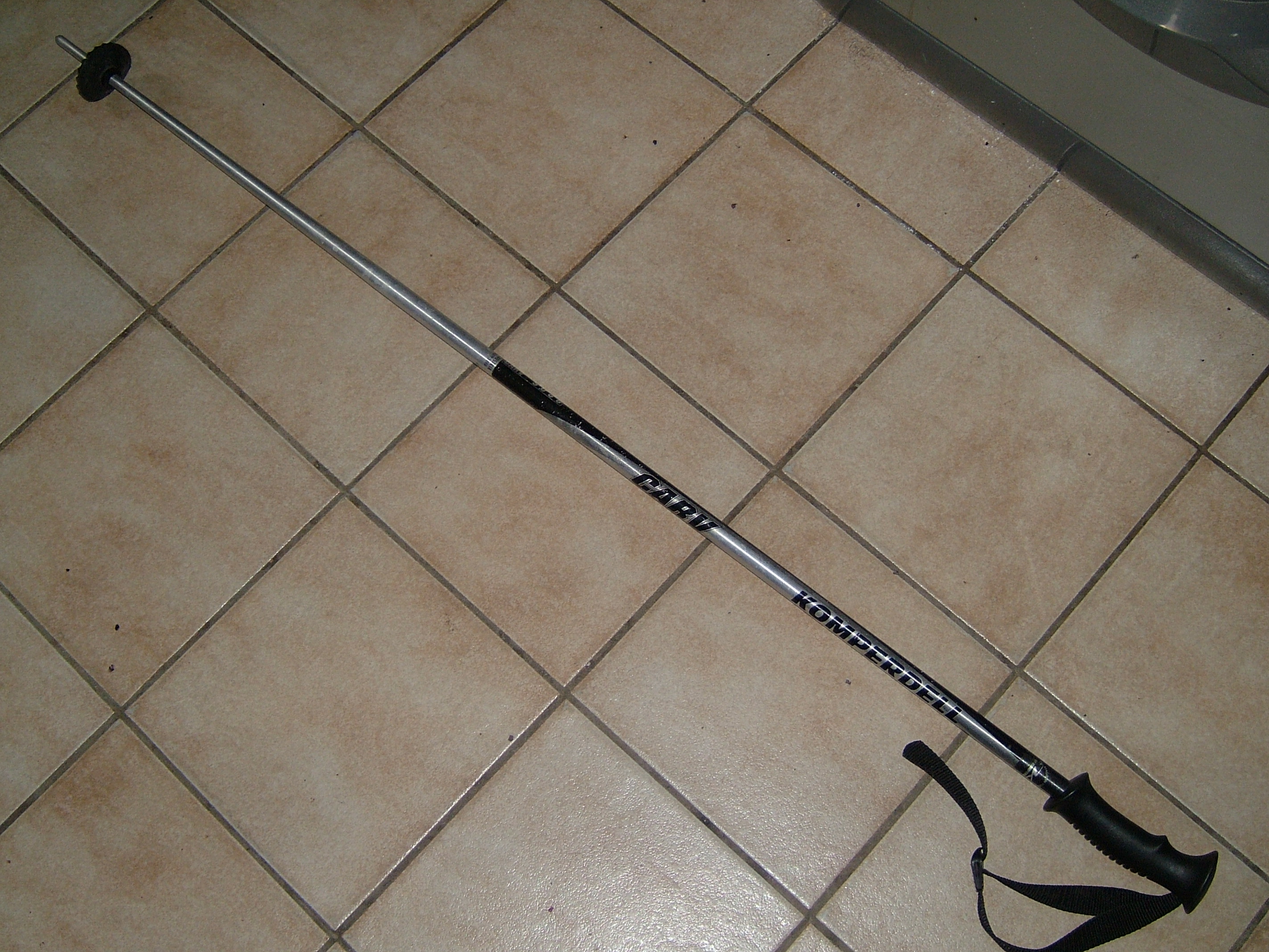 ski pole1.JPG