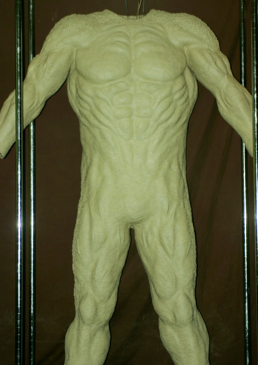 Skin_1A_50.jpg