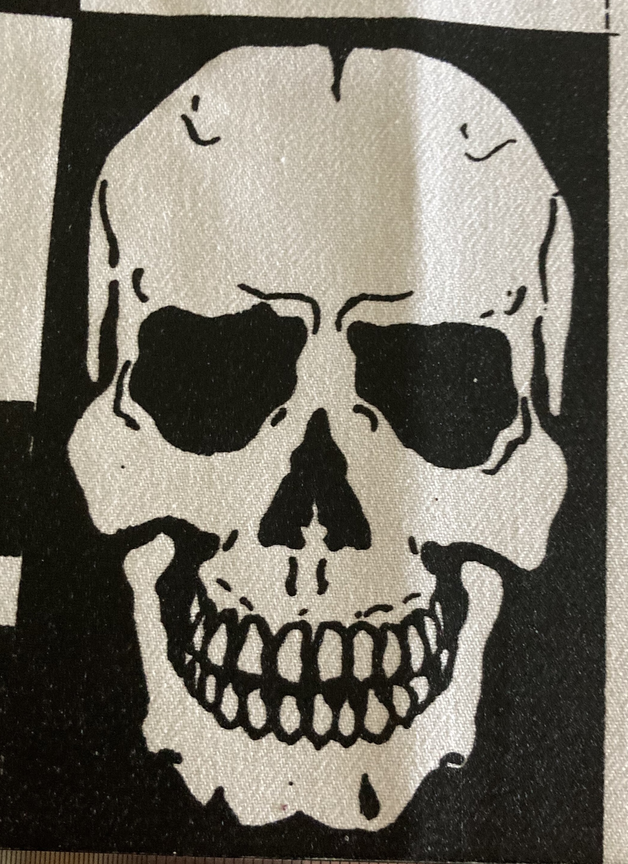 skull.jpeg