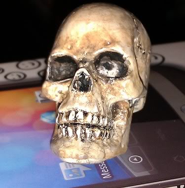 skull.jpg