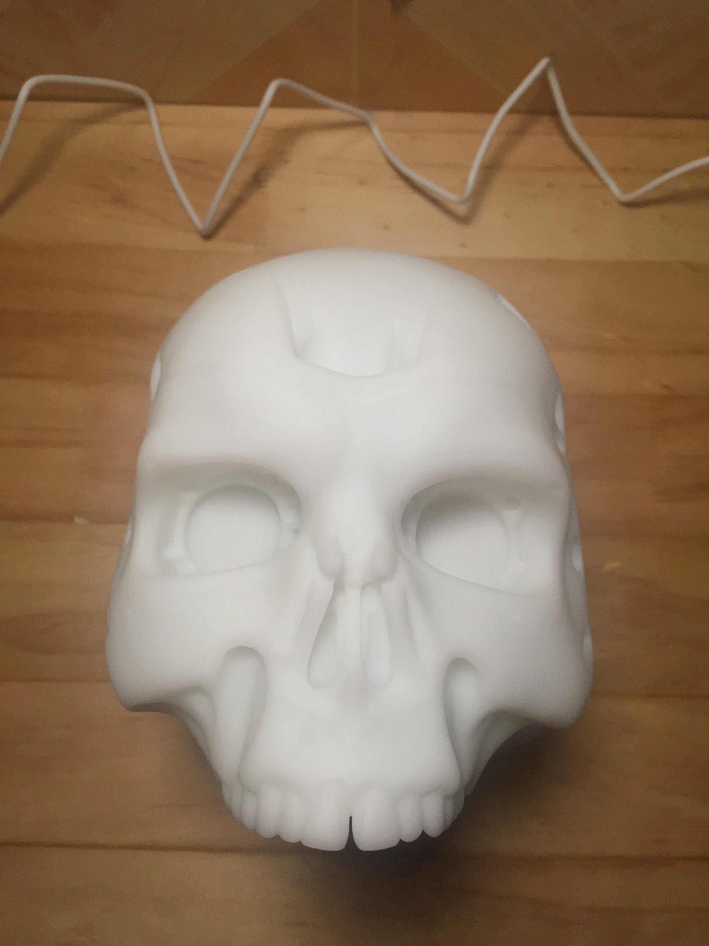 Skull model 1.JPG