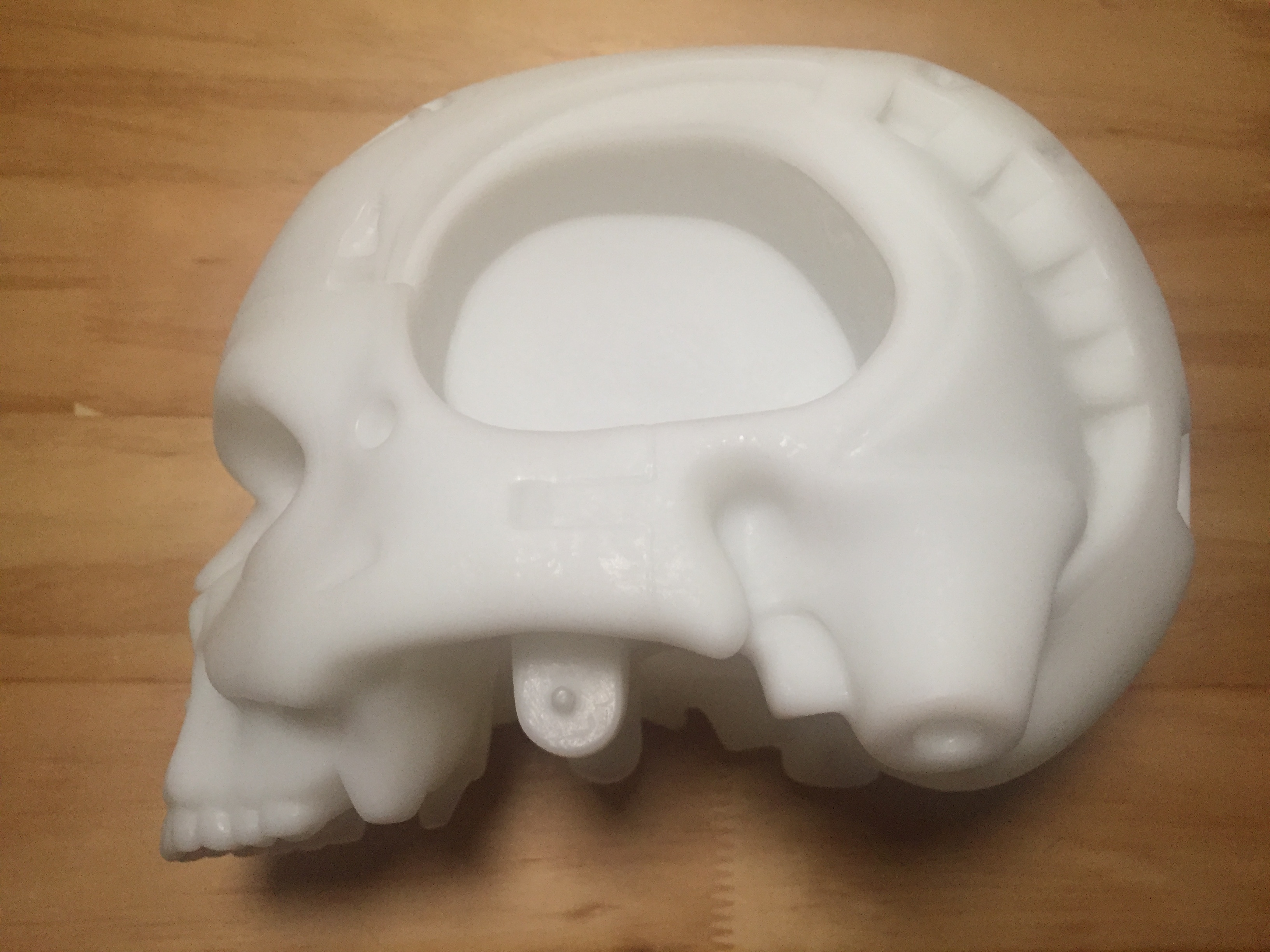 Skull model 2.JPG