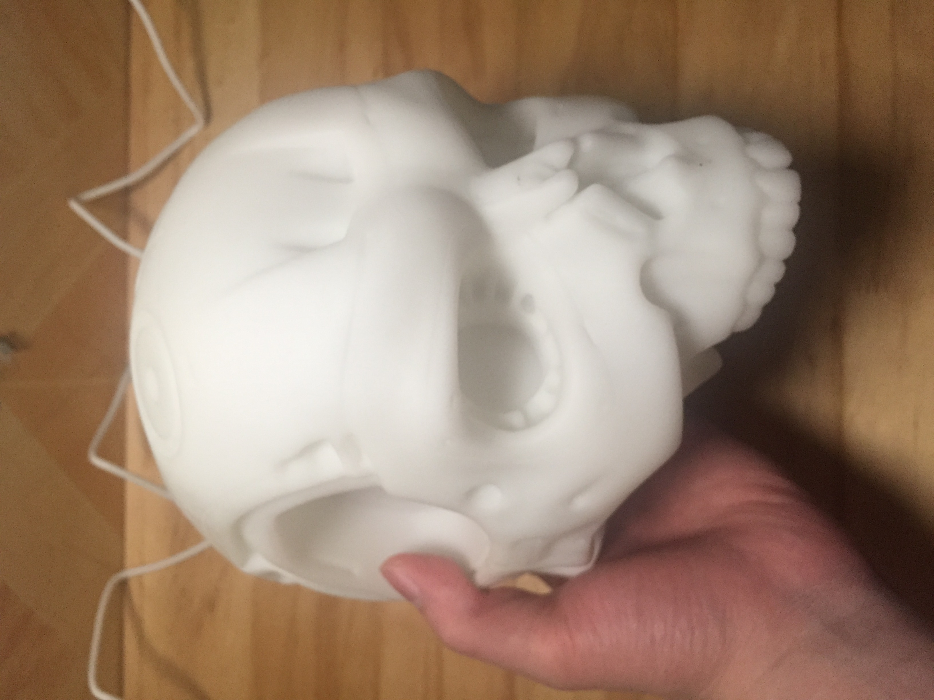 Skull model 3.JPG