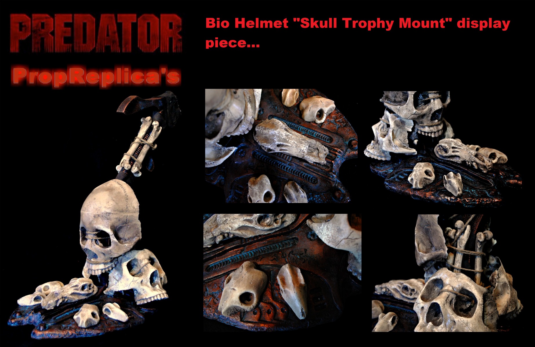 Skull trophy mount.jpg
