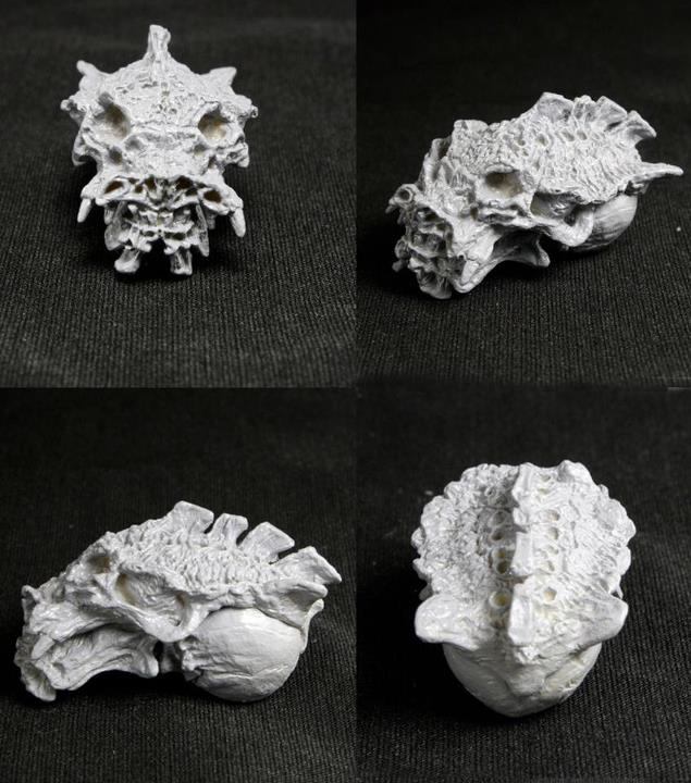 skull1.jpg