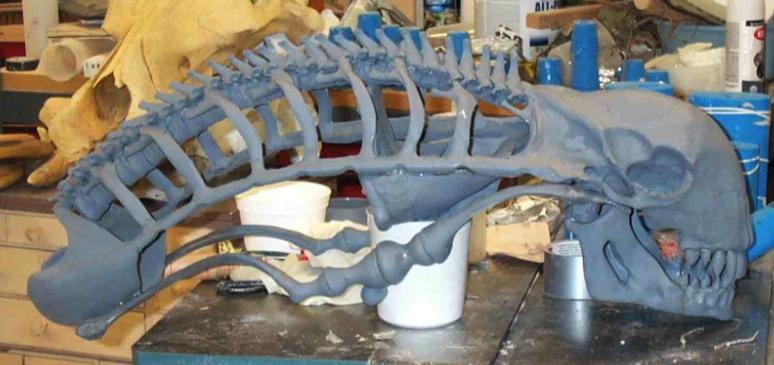 skull_1a.jpg