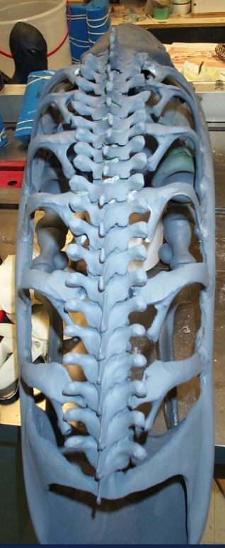 skull_2.jpg