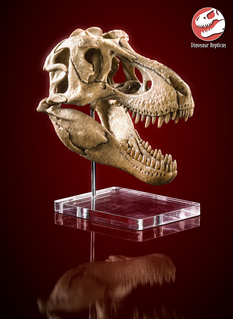 skull_rex_deviant_02b_by_strick67-dcnfj2o.jpg