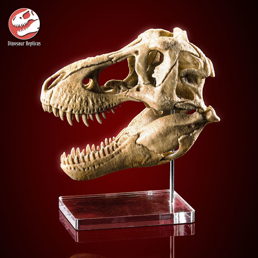skull_rex_deviant_03a_by_strick67-dcnfj9p.jpg