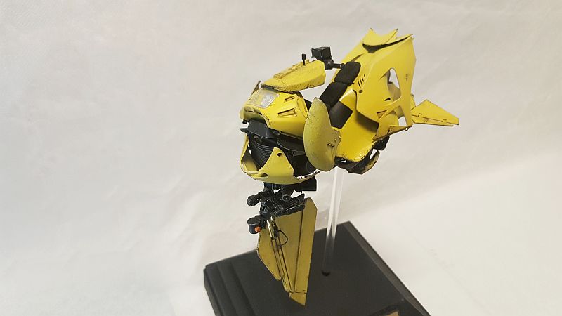 skybike3_zpsoz6vas7c.jpg
