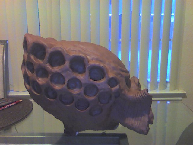 Snapshot_20101004.jpg