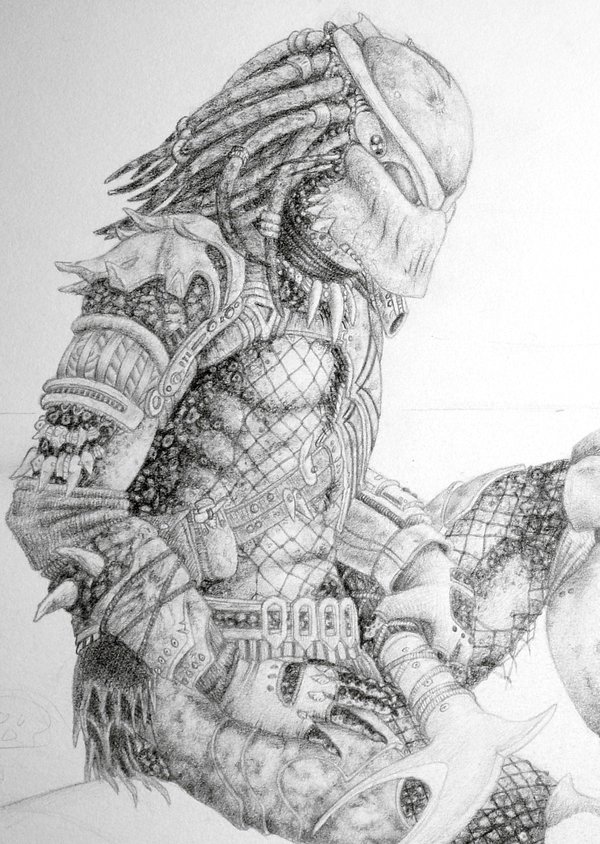sneaky_peek_at_scout_by_coollekotten-d47gufo.jpg