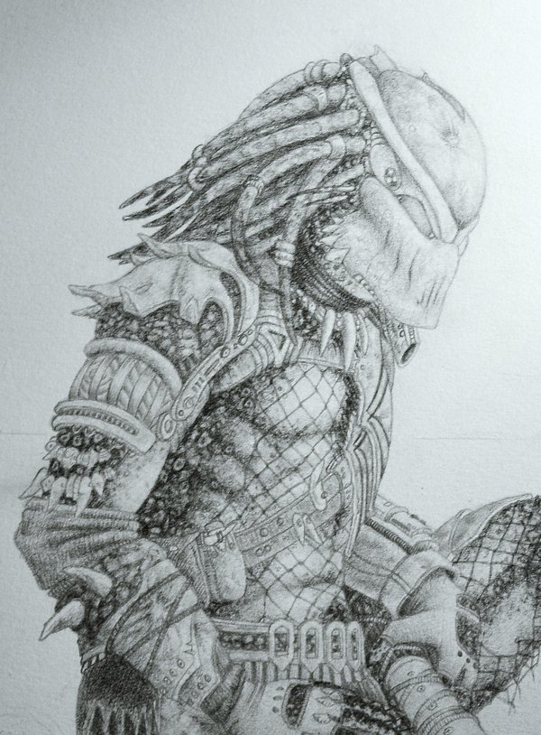 sneaky_peek_at_scout_by_coollekotten-d47gufo.jpg
