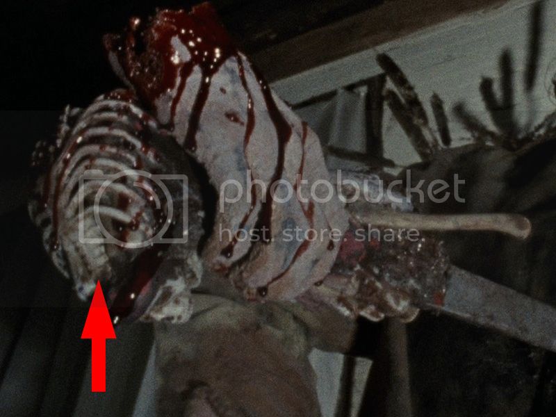 spine1.jpg