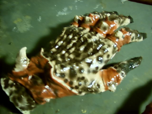 SS852156.jpg