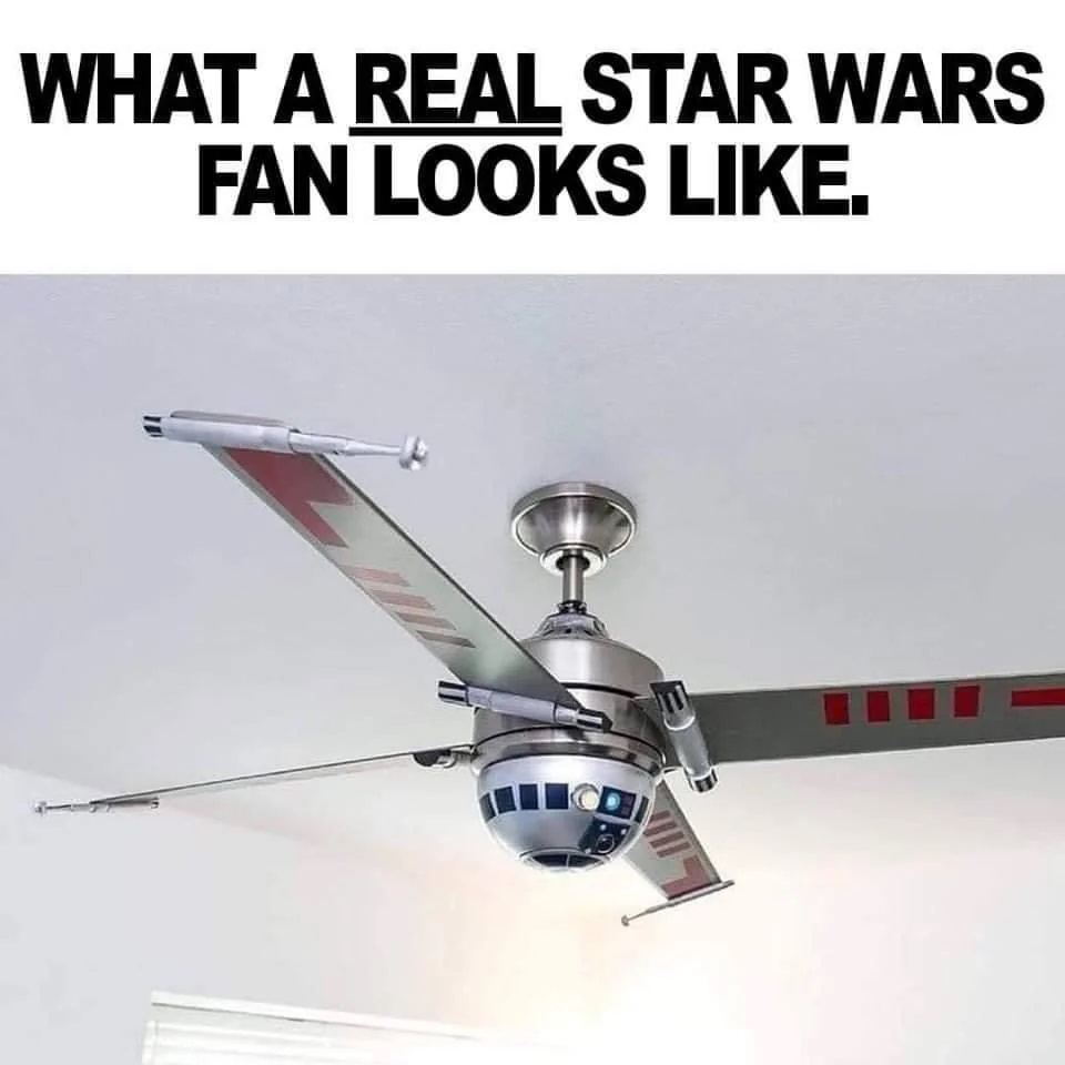 star wars fan.jpg