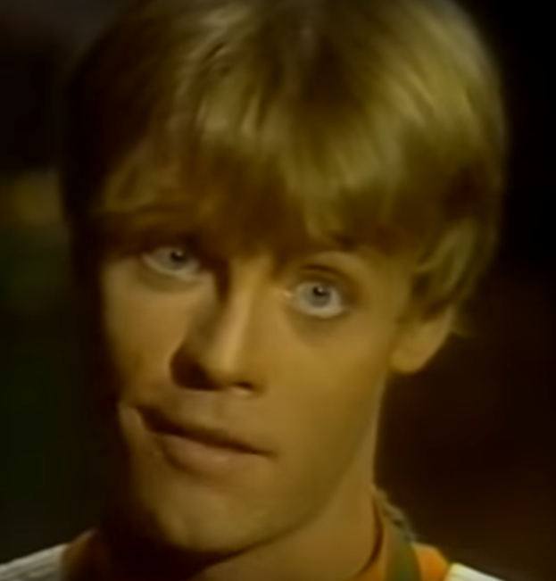 star wars holiday special luke haircut.png