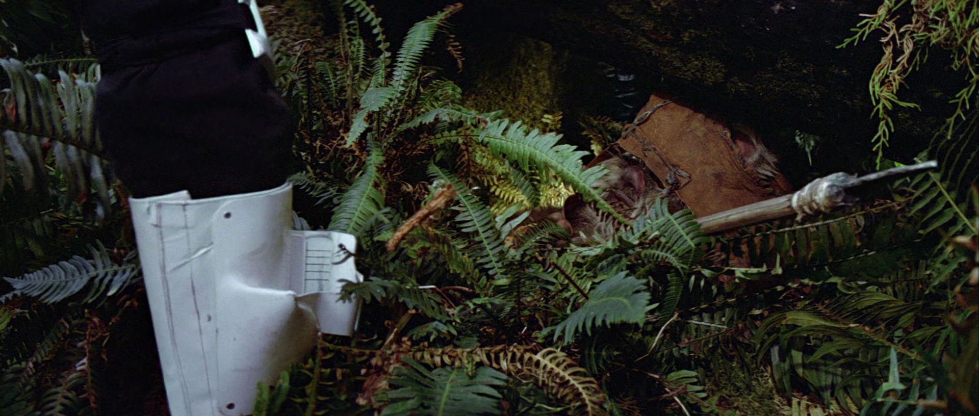 star-wars6-movie-screencaps.com-7654.jpg