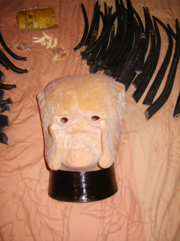 suitpred016.jpg