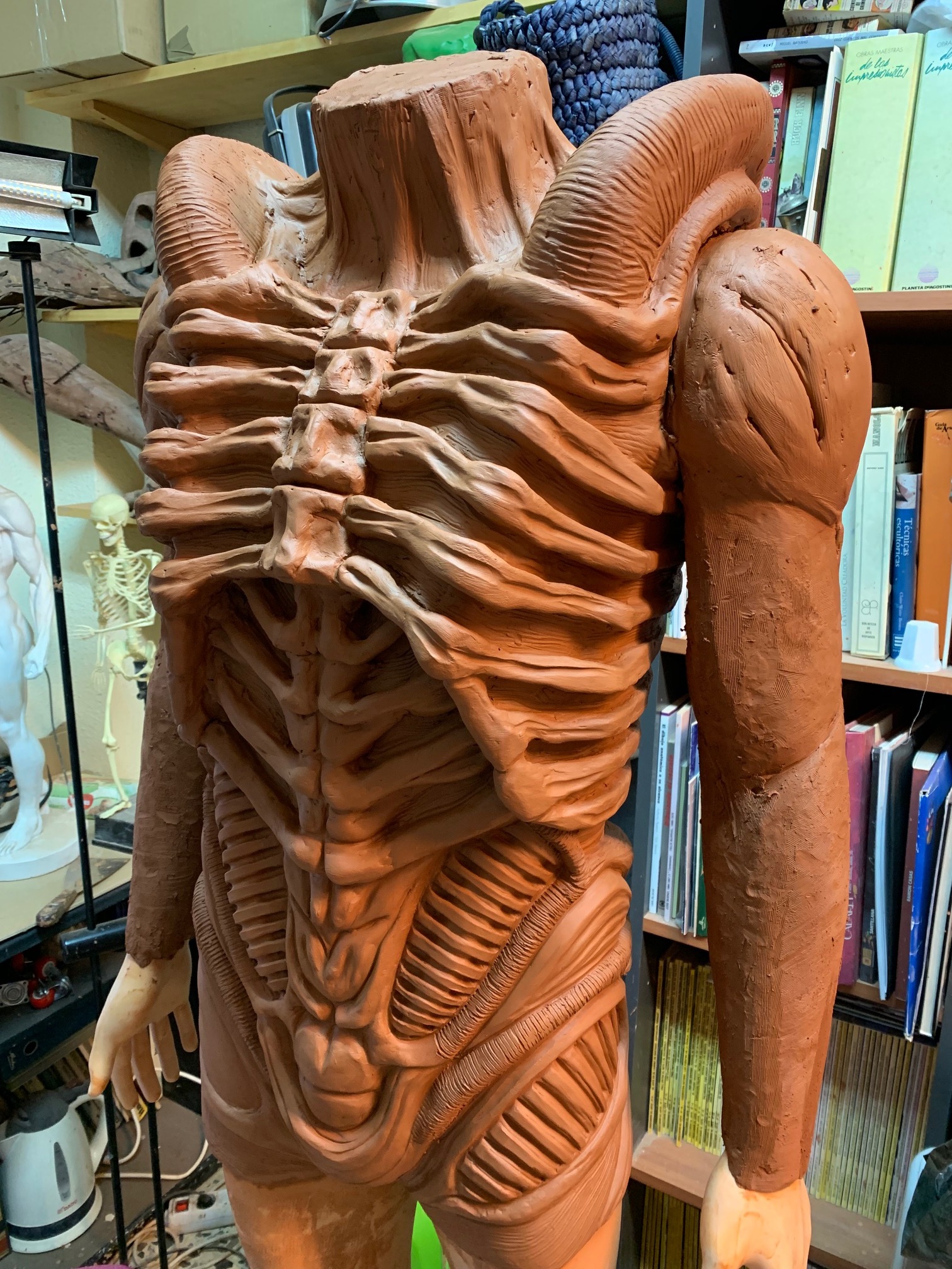 sulacos-labs-alien-front.jpg