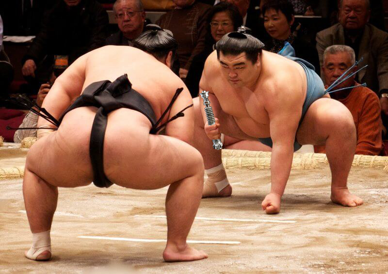 sumo copy.jpg