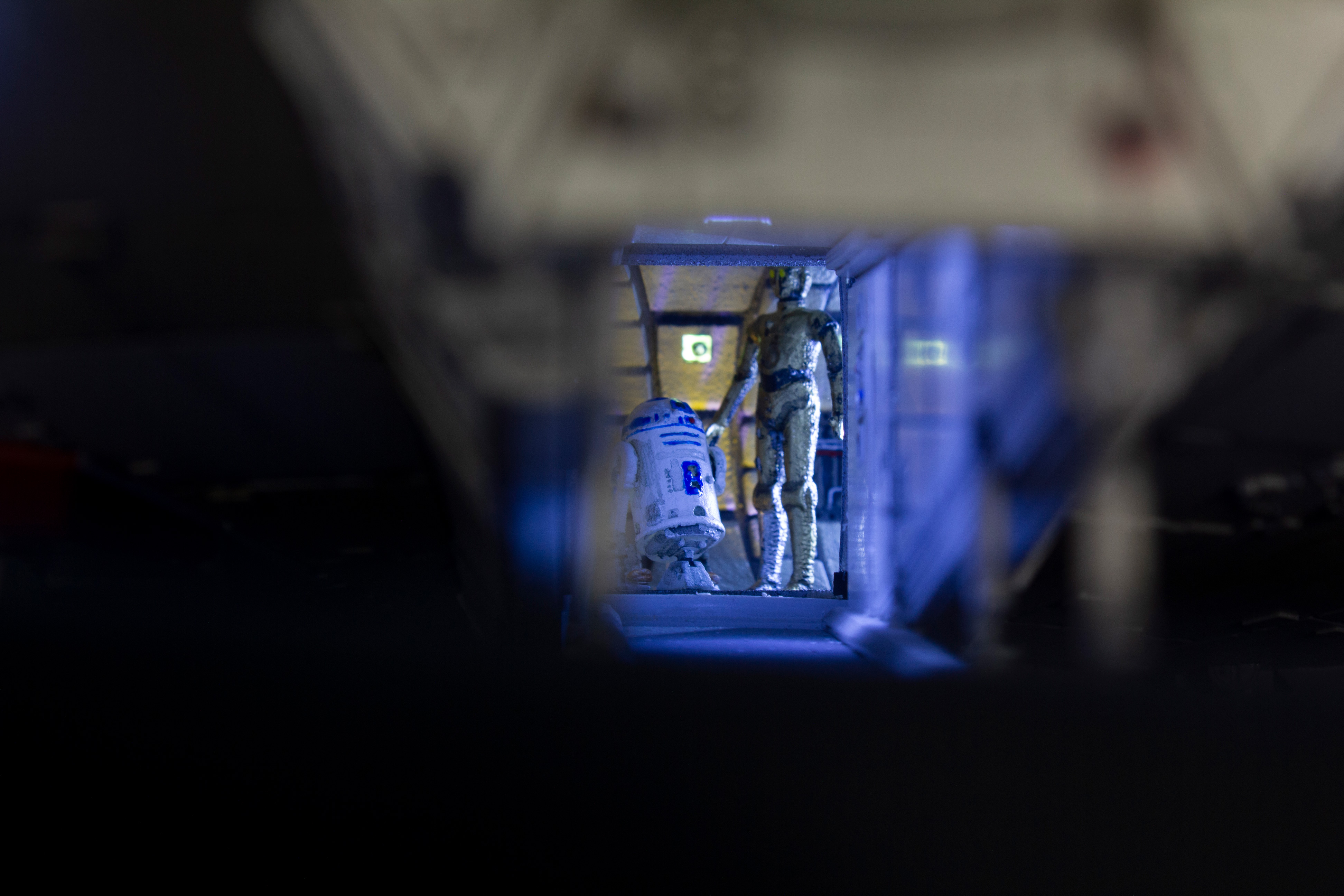SW_MF-42.jpg