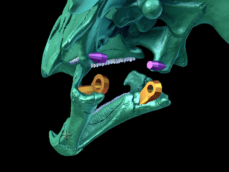 SwiYXVkIjpbInVybjpzZXJ2aWNlOmZpbGUuZG93bmxvYWQiXX0.jpg